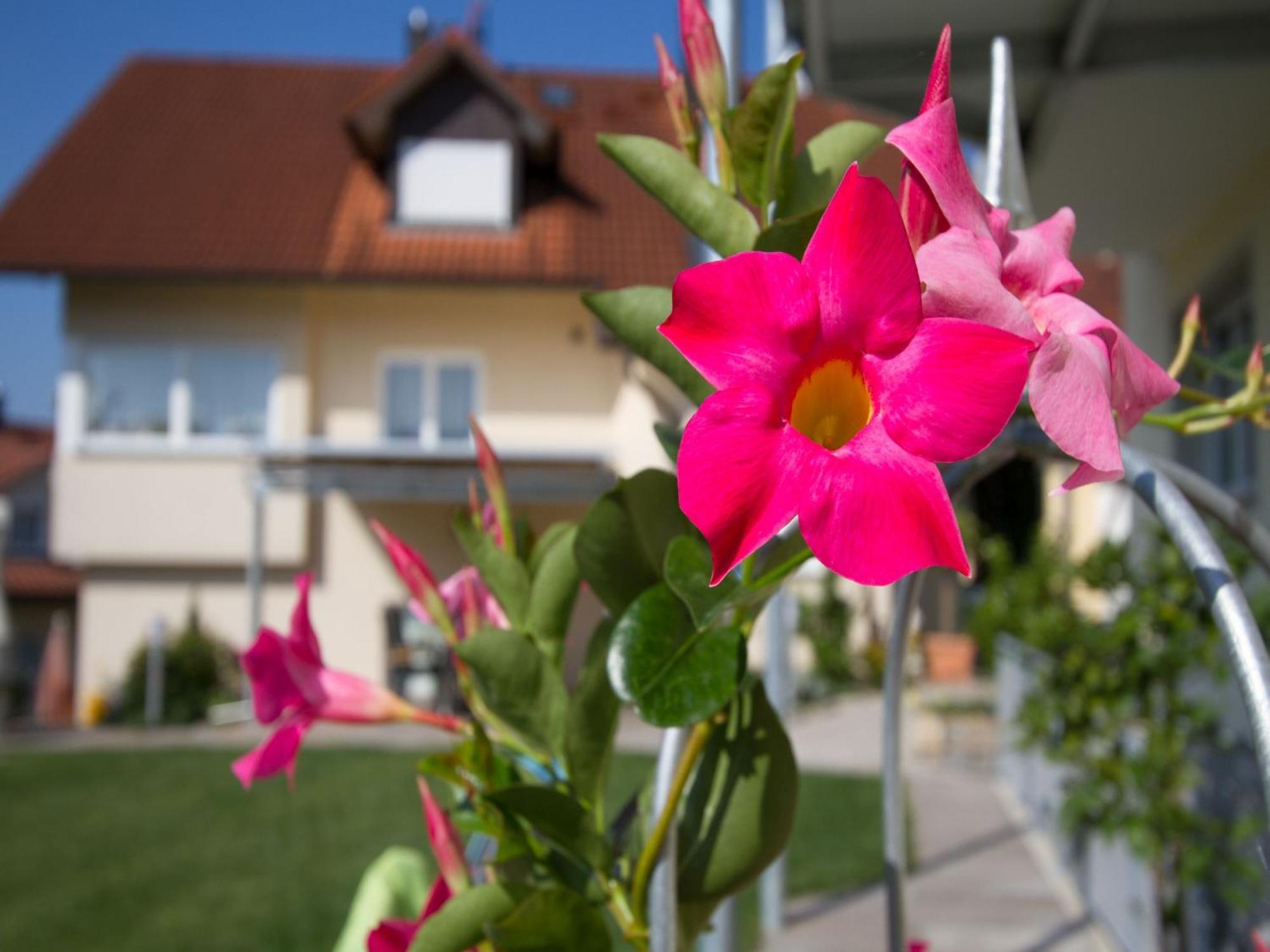 Obst- Und Ferienhof Witzigmann วัสเซอร์บูร์ก ภายนอก รูปภาพ